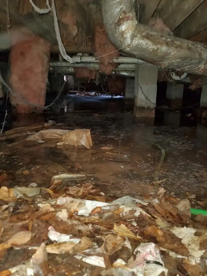 Crawl space flood assessment for Leak Detection & Repair in Spokane