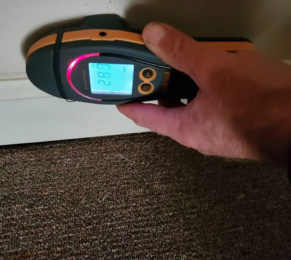 Moisture detection at baseboard during Burst Pipe Cleanup in Spokane